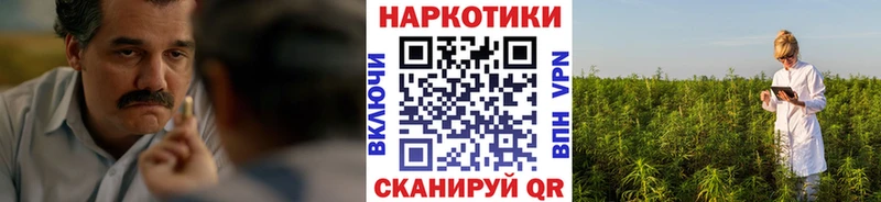 Какие есть наркотики Шахунья ГАШИШ  Амфетамин  Мефедрон  СОЛЬ  Бошки Шишки  Cocaine 