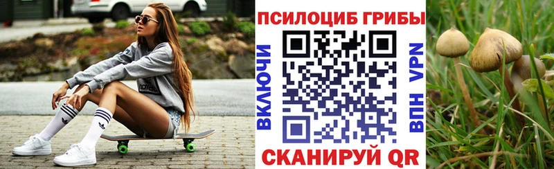 Псилоцибиновые грибы ЛСД  Шахунья 